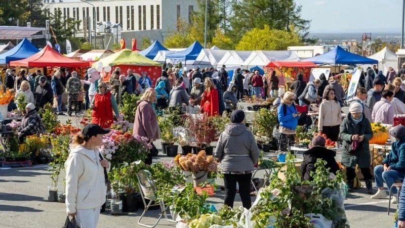 «Свое. Родное. Островное - 2026»: агрофестиваль в Южно-Сахалинске посетили сотни горожан