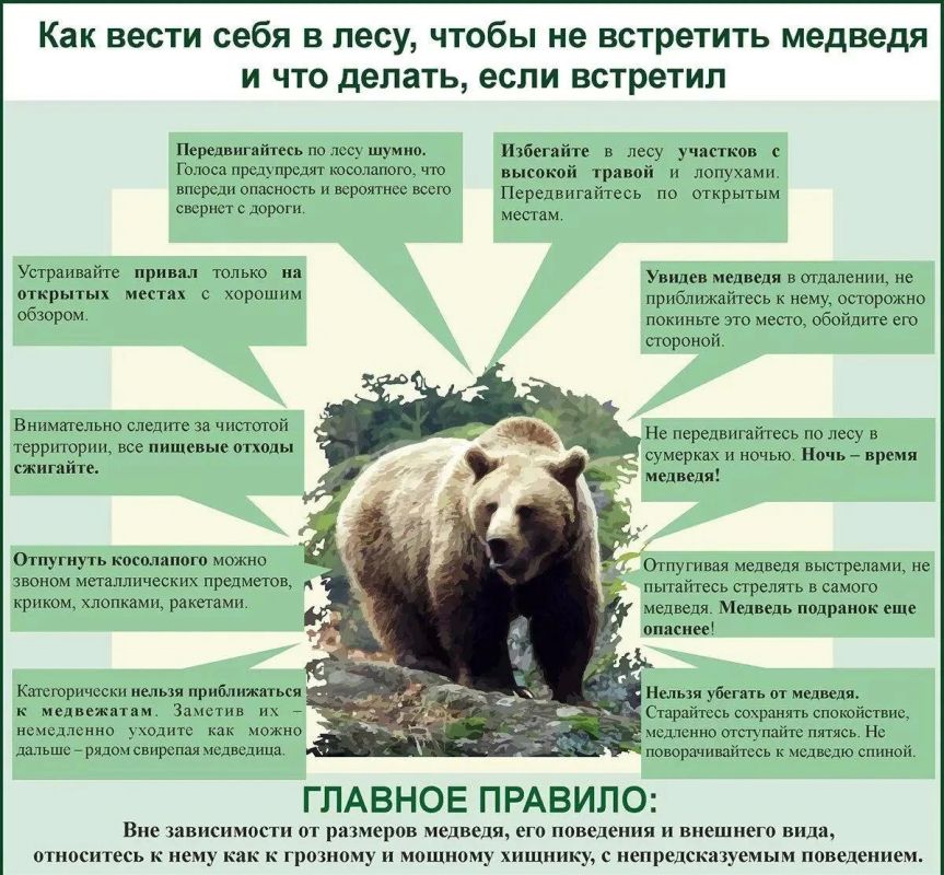 Агентство лесного и охотничьего хозяйства области напоминает об основных мерах предосторожности туристам, рыбакам, сборщикам дикоросов, владельцам дачных участков, а также жителям территорий, расположенных в непосредственной...
