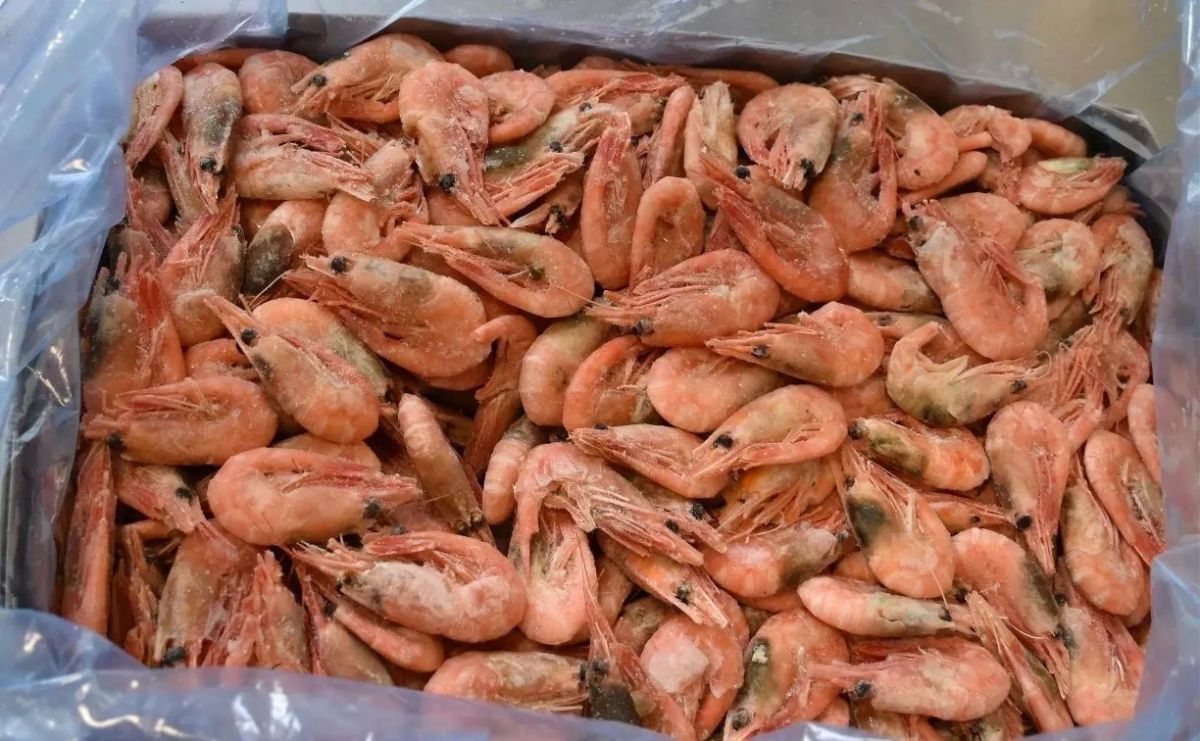 Свыше 1,4 тысячи тонн рыбы и морепродуктов ввезли на Сахалин и в Приморье из Азии