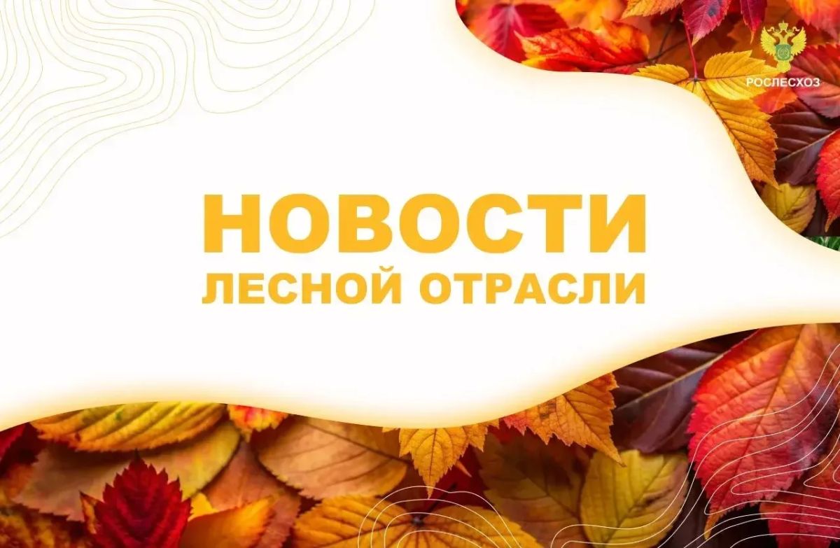Вести Татарстан: В Татарстане подготовили 10 га под новые лесосеменные плантации