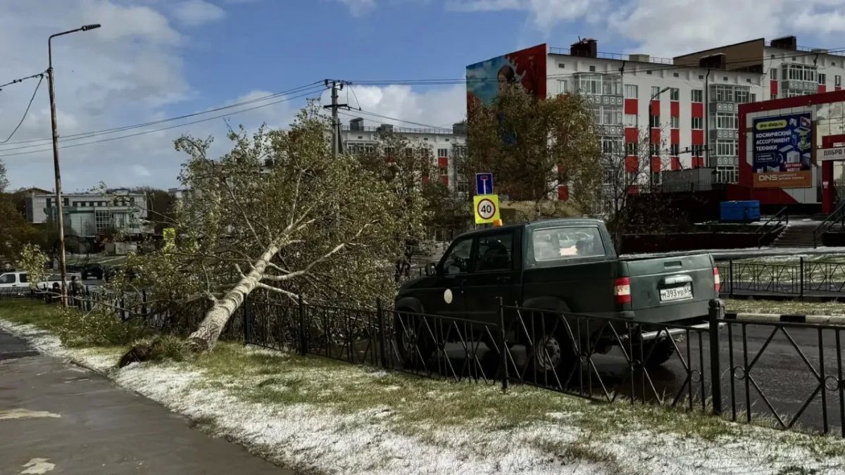 Охинский район накрыла первая в этом сезоне метель Охинский район накрыла первая в этом сезоне метель