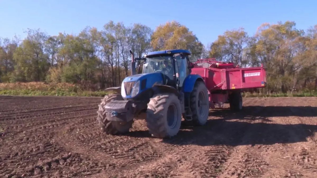 На Сахалине и Курилах завершают уборку картофеля: аграрии довольны урожаем этого года!