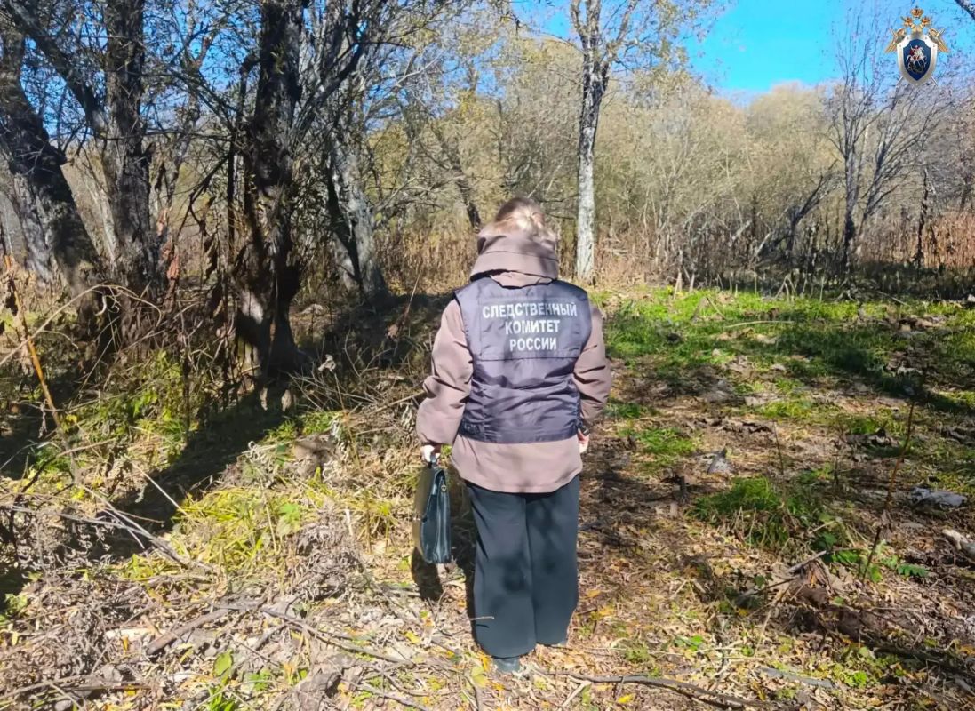 Тело 65летнего мужчины обнаружили в лесу на Сахалине