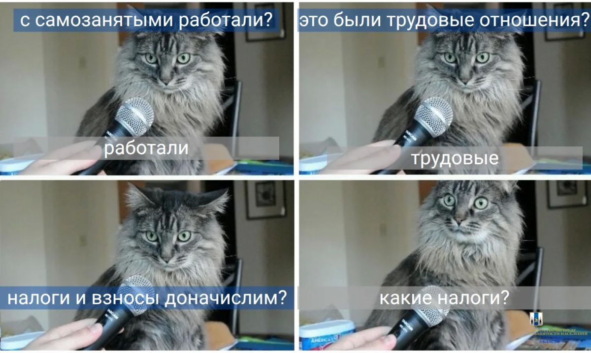 Рекомендуем уточнить, точно ли ваш самозанятый – самозанятый, или он уже давно работник…