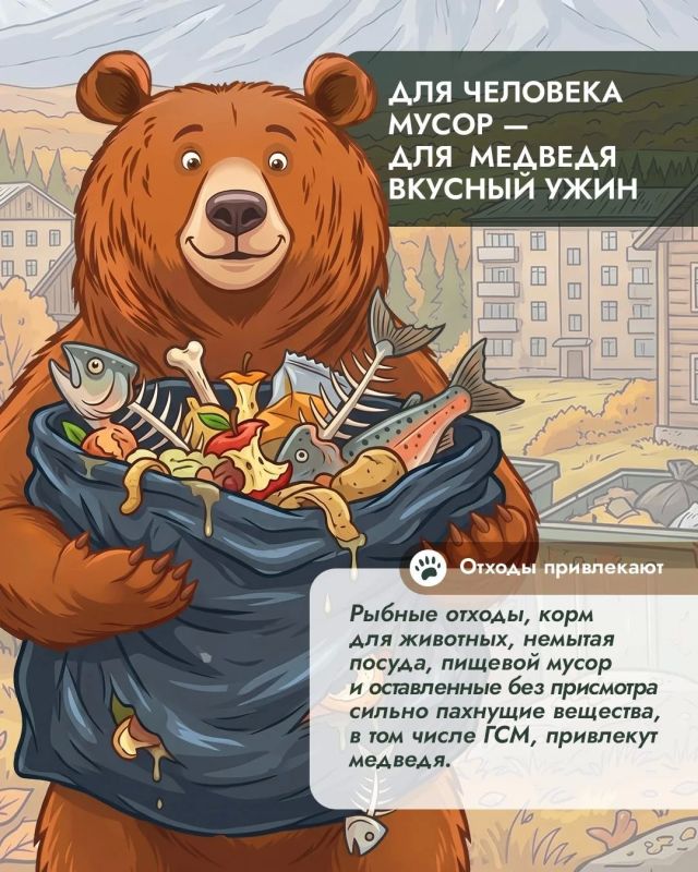 Осенний конфликт: перед холодами сахалинцам предрекают все более частые встречи с медведями Осенний конфликт: перед холодами сахалинцам предрекают все более частые встречи с медведями
