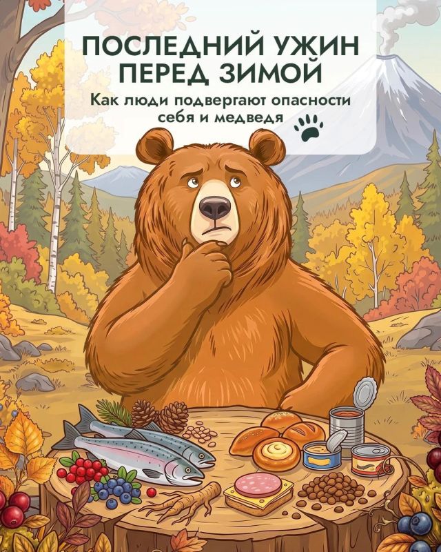 Осенний конфликт: перед холодами сахалинцам предрекают все более частые встречи с медведями