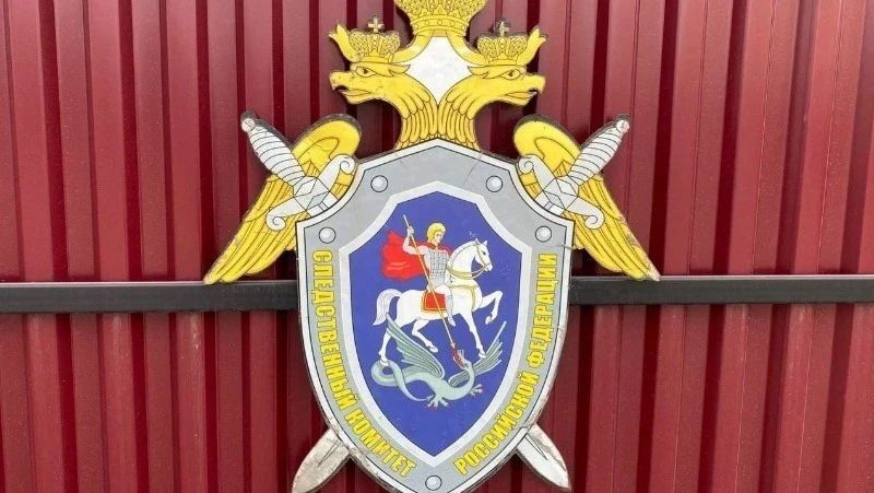 Жительницу Южно-Сахалинска подозревают в покушении на убийство знакомого