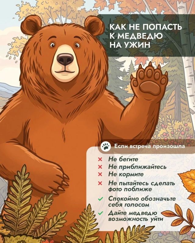 Почему осенью медведи оказываются рядом с людьми чаще? Почему осенью медведи оказываются рядом с людьми чаще?