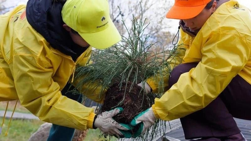 Волонтеры проекта «Сахалин-1» помогли Сахалинскому ботаническому саду подготовиться к зиме Волонтеры проекта «Сахалин-1» помогли Сахалинскому ботаническому саду подготовиться к зиме