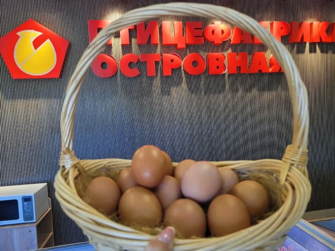 Белое или коричневое? Рассказываем, какое яйцо у нас на прилавках сейчас и что изменится в ноябре! Белое или коричневое? Рассказываем, какое яйцо у нас на прилавках сейчас и что изменится в ноябре!