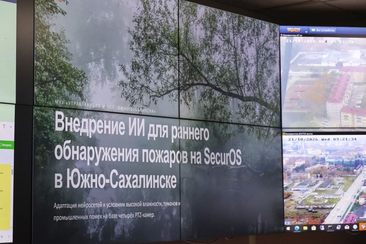 Искусственный интеллект поможет ещё быстрее реагировать на лесные пожары