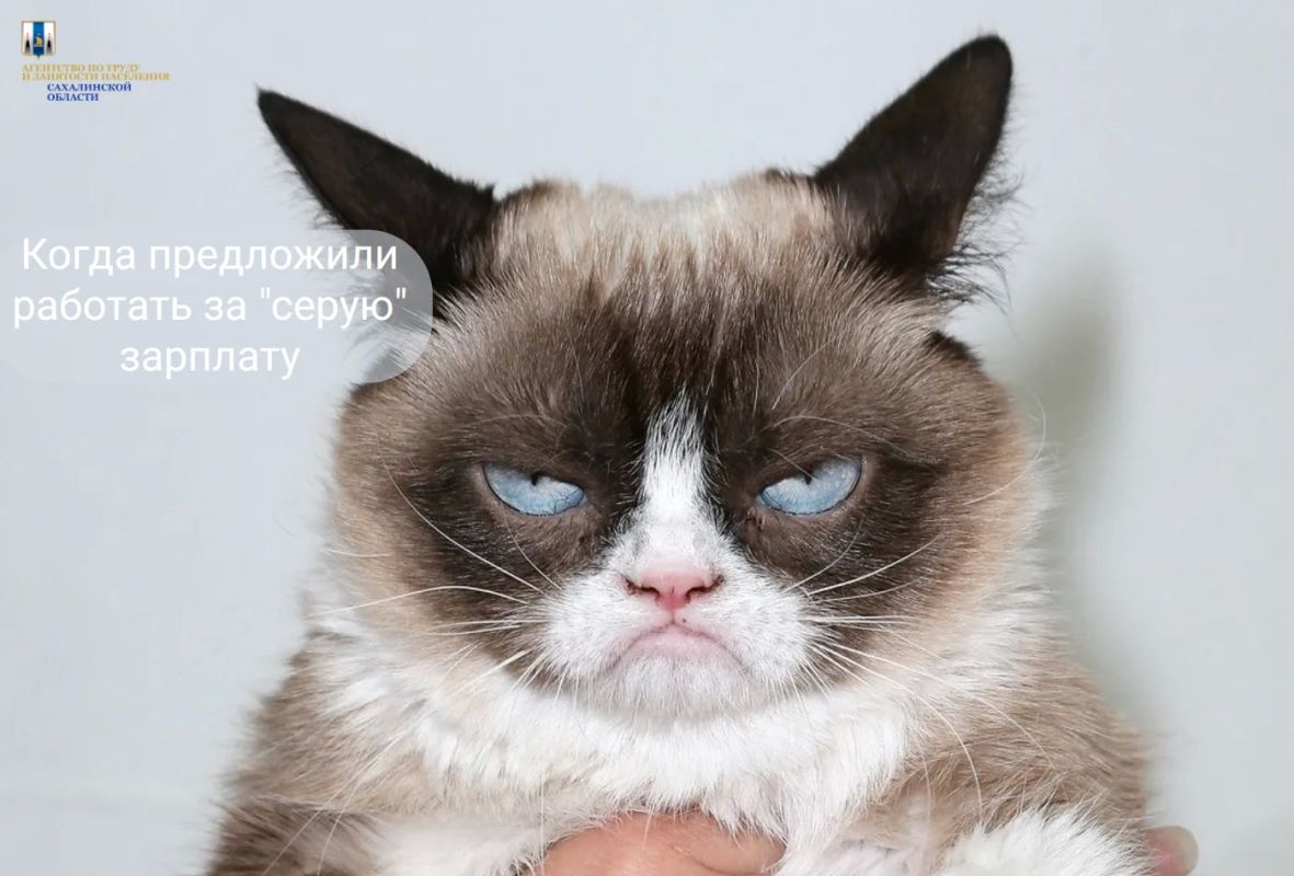 «Серая» зарплата – она как кот: сегодня сидит рядом и ластится, а завтра шипит и не даётся на руки…