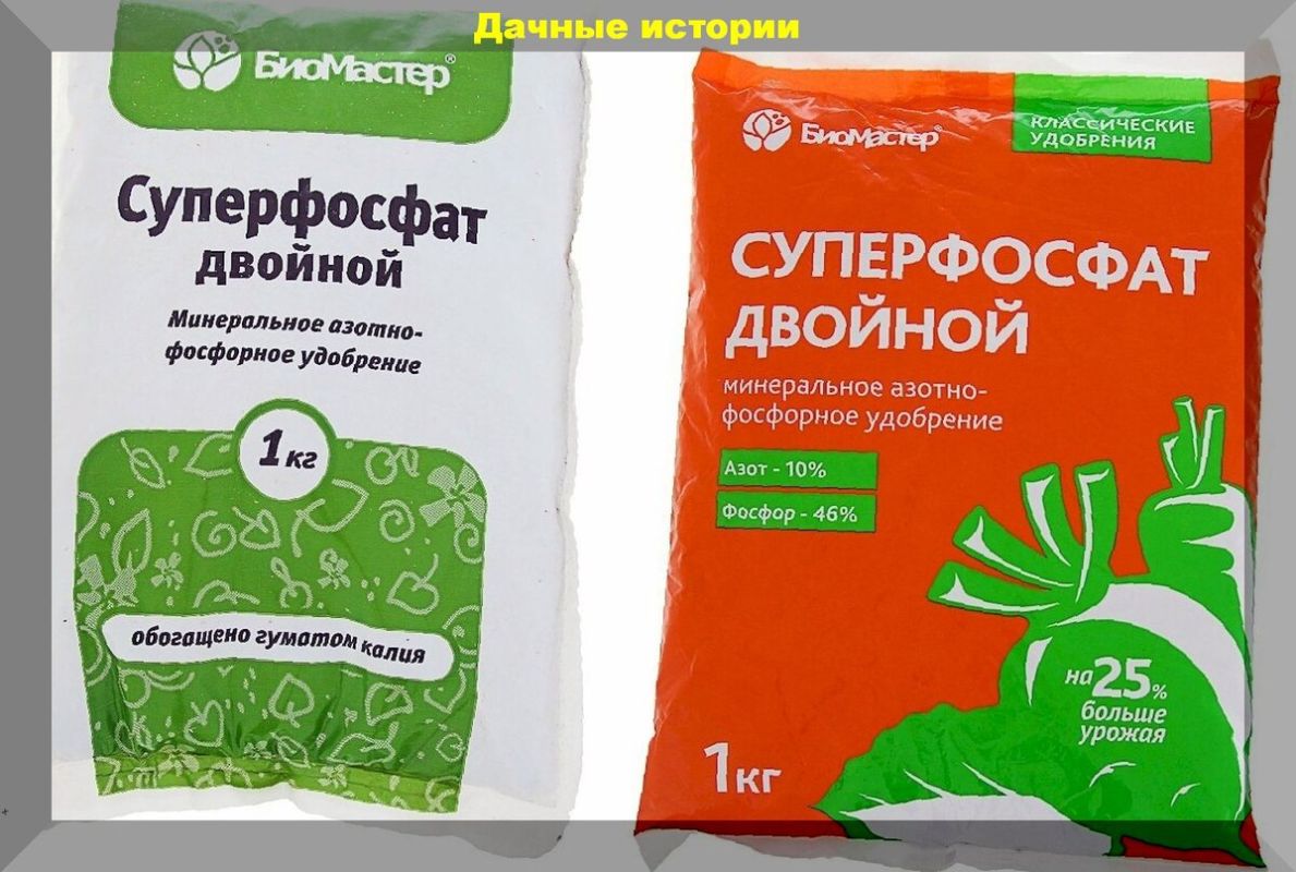 Осенний уход за огородом: какие удобрения помогут обеспечить урожай следующего года