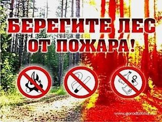 С начала пожароопасного сезона на территории лесного фонда Сахалинской области зарегистрировано 30 лесных пожаров