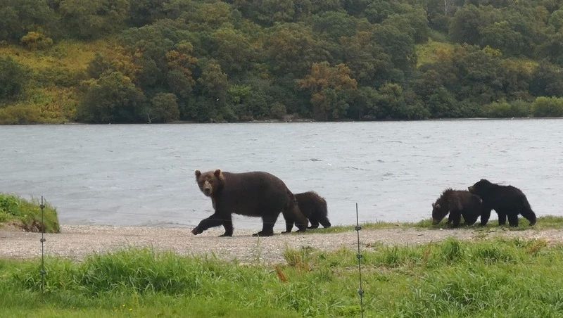 Ольга Ивонина из удмуртского города Глазова провела две недели на острове Монерон в качестве волонтёра-помощника экскурсовода Ольга Ивонина из удмуртского города Глазова провела две недели на острове Монерон в качестве волонтёра-помощника экскурсовода