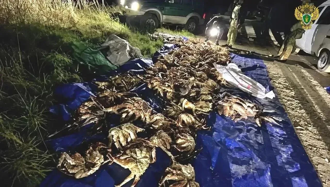 Условный срок: два сахалинца незаконно выловили краба на млн рублей