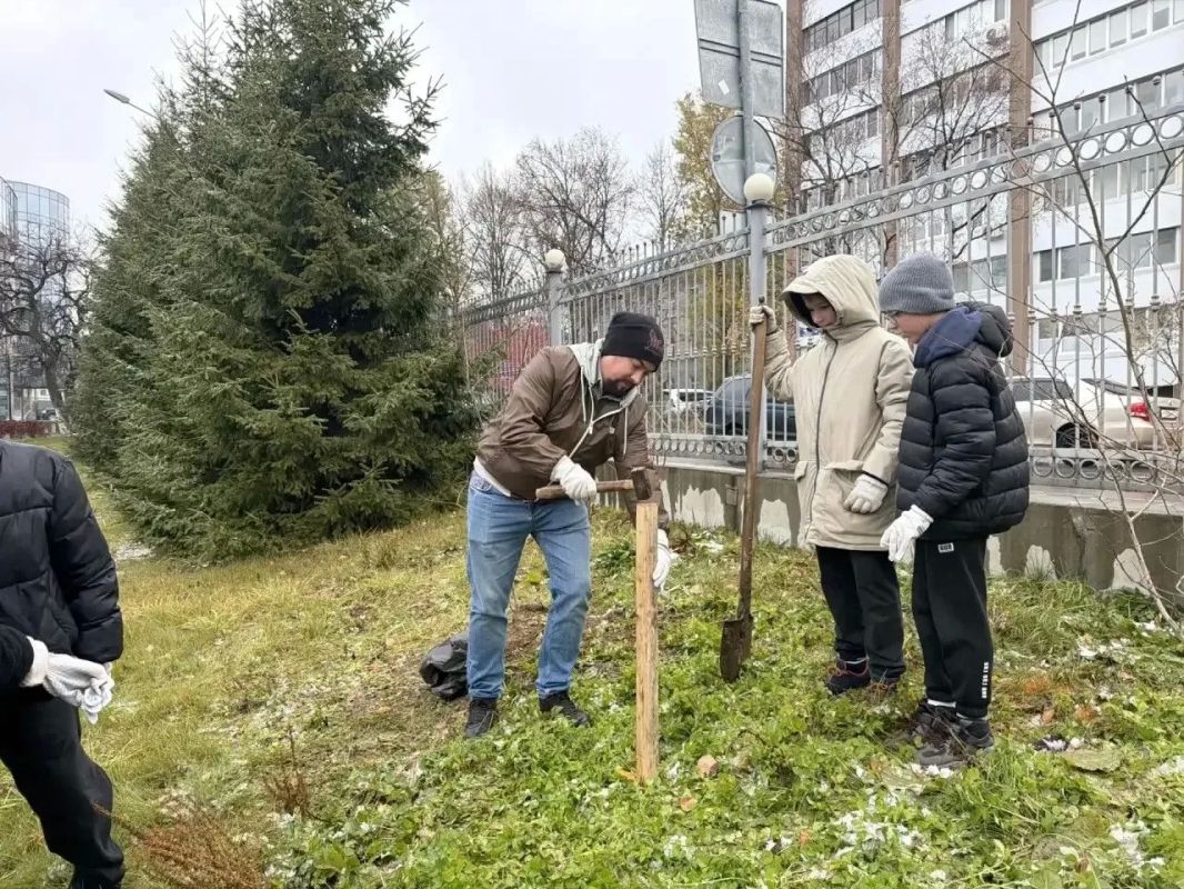 Сахалинские школьники посадили «Дерево класса» Сахалинские школьники посадили «Дерево класса»