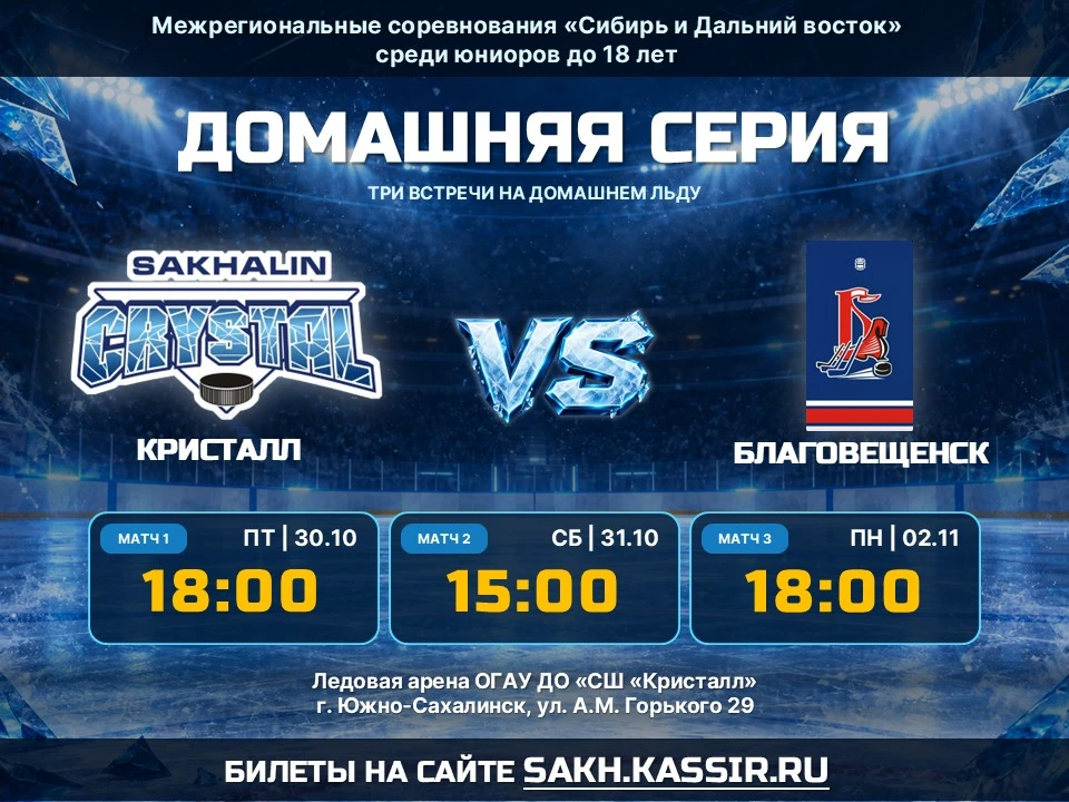 Продолжаем домашний хоккей!