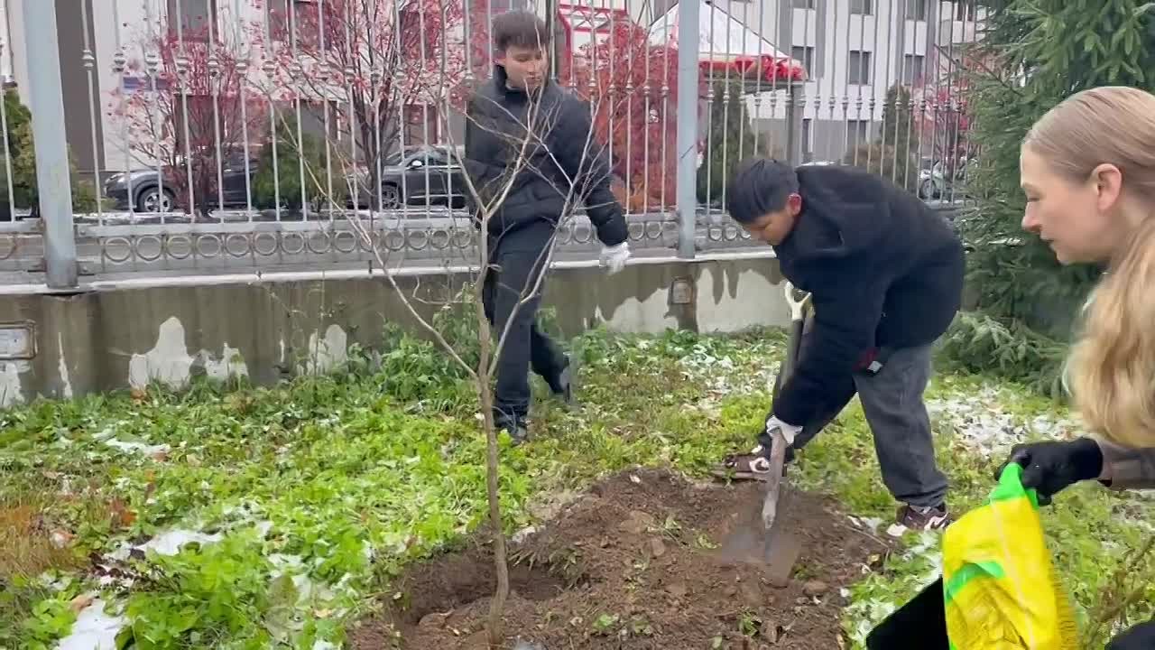Сахалинские школьники посадили «Дерево класса»